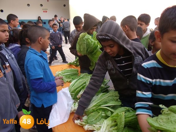 sooqelzahra2lud602 (38).JPG